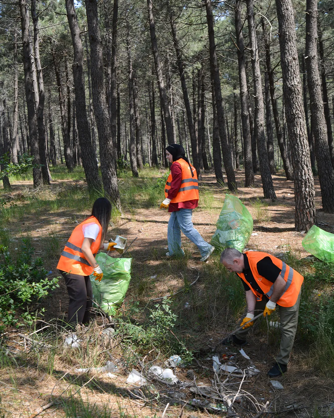 Dünya Çevre Günü ve Haftası